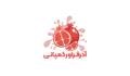 آذر فراور 